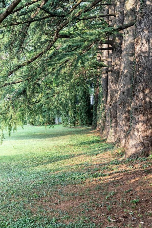 Villa Elisabeth Lierna Bagian luar foto
