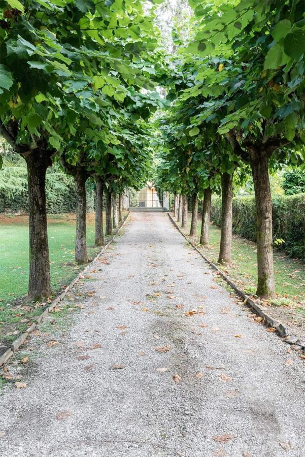 Villa Elisabeth Lierna Bagian luar foto